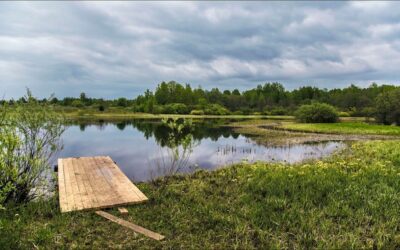 Ile hektarów ma jezioro Śniardwy i co warto o nim wiedzieć?