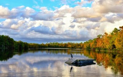 Kraina Wielkich Jezior Mazurskich jakie jeziora warto znać?