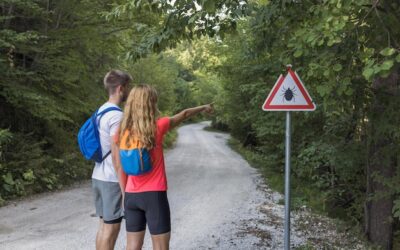 Gdzie można wyjechać bez kwarantanny w obecnych realiach podróżowania?