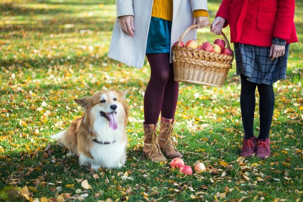 Gdzie na Wielkanoc z psem warto wyjechać?