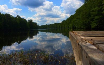 Jakie jest największe polskie jezioro i gdzie je znaleźć?