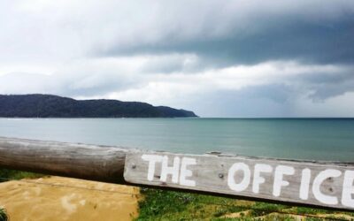 Jakie miejsca nad morzem które warto zobaczyć przyciągają turystów?