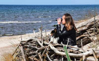 Jakie są półwyspy na Morzu Bałtyckim?
