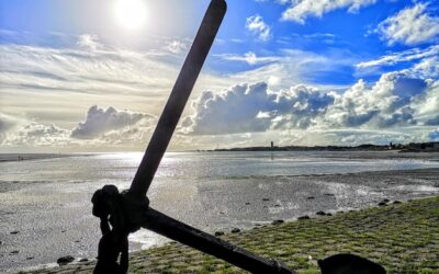 Tarnica czy Połonina Wetlińska – co wybrać na pierwszy bieszczadzki szlak?