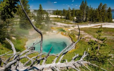 Termy chochołowskie ile od Zakopanego dzieli podróż?
