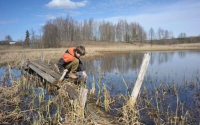 Jak powstały Mazury i co kryje ich unikalny krajobraz?